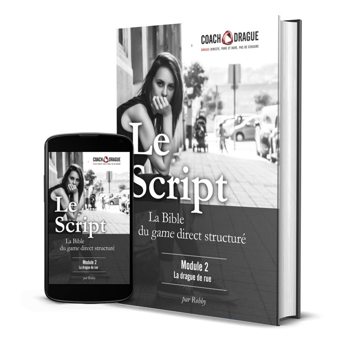Le Script - Module 2 : La drague de rue Le Script - Module 2 : La drague de rue